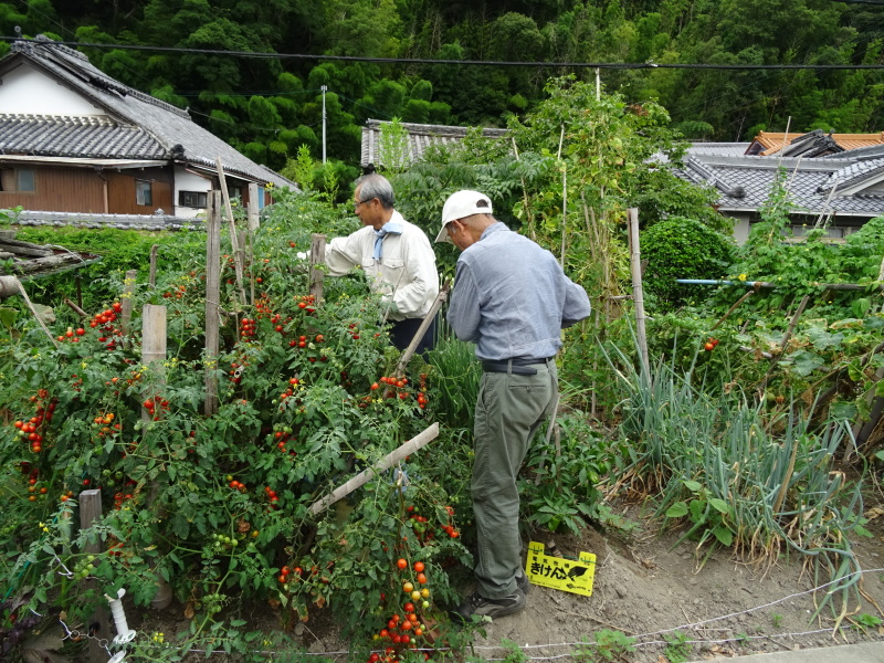 c0108460_20103874.jpg
