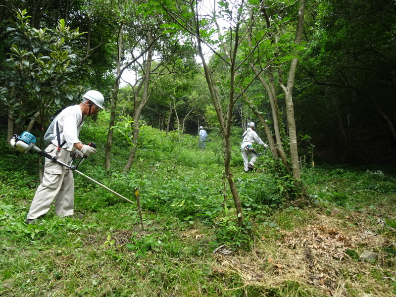 c0108460_20150924.jpg