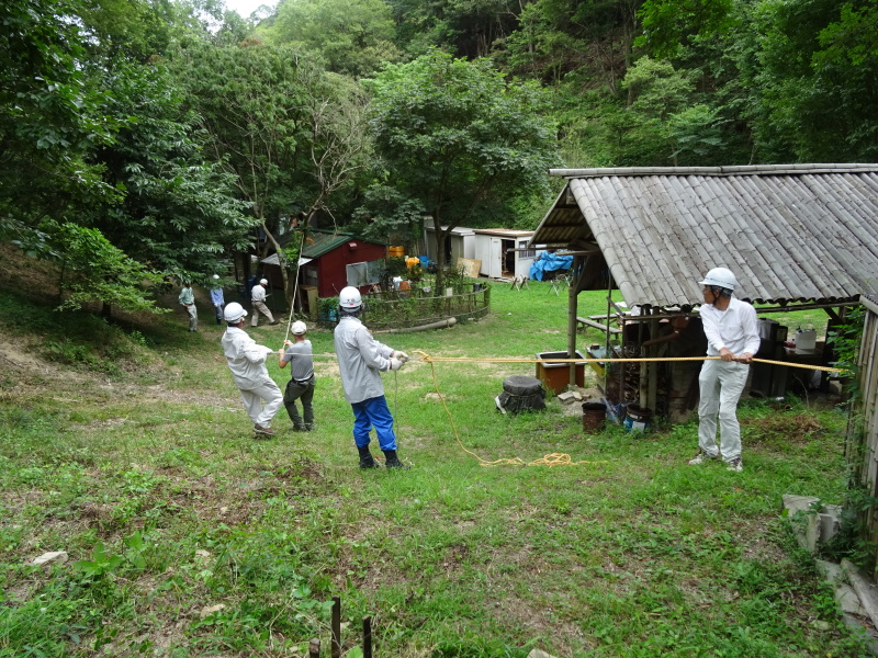 c0108460_20225212.jpg