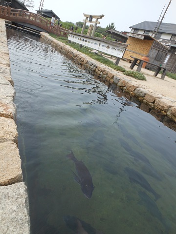 小豆島・二十四の瞳、映画村_a0288162_14305156.jpg