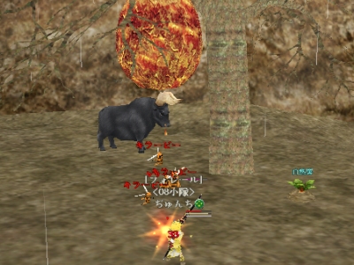 殺人蜂の駆除_d0023063_143355.jpg