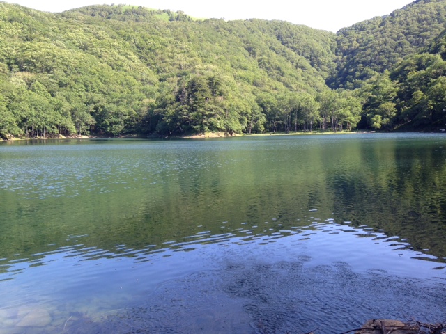 b0236665_83341.jpg