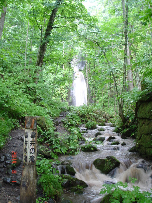 今朝の奥入瀬渓流　大雨が降ってました_d0165378_12351897.jpg