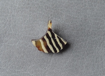 べっ甲、ラペルピン その8_e0200879_13521791.jpg