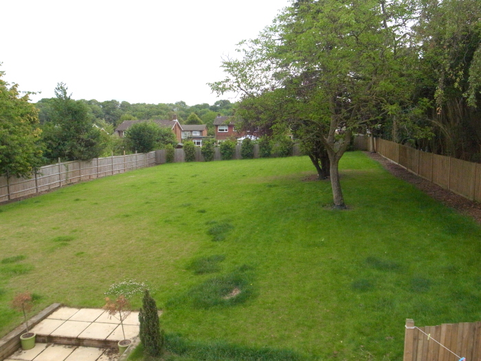 エリオットゆかりさん宅 イギリス ミンミンゼミ