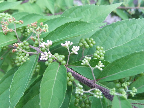 b0230589_8355177.jpg
