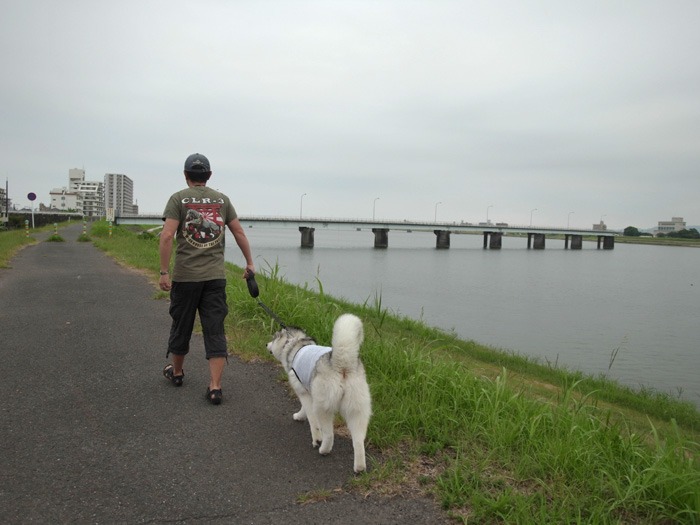 c0049299_21355427.jpg