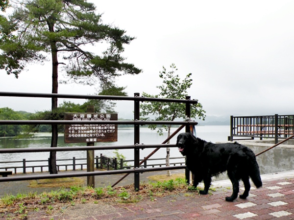 f0176499_20115605.jpg