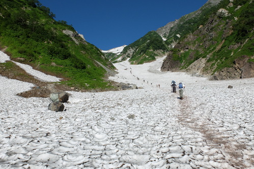 花の白馬岳日帰り③大雪渓からお花畑_e0304001_20464728.jpg