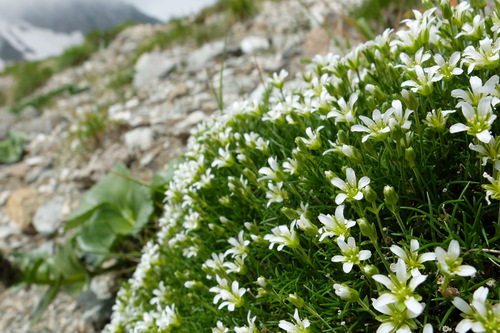 e0304001_23111984.jpg