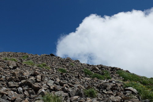 e0304001_232263.jpg