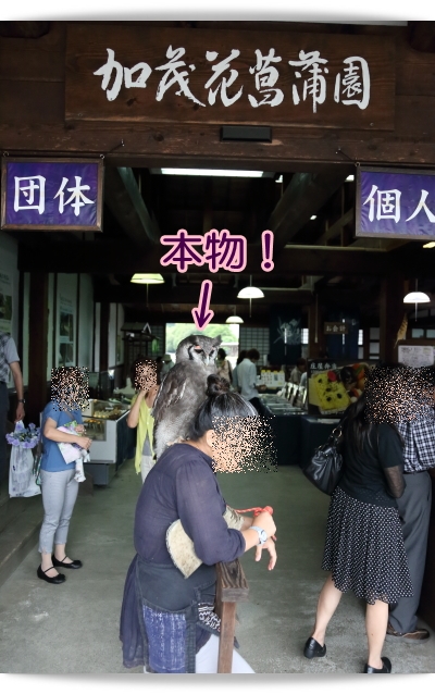 e0100007_8261341.jpg