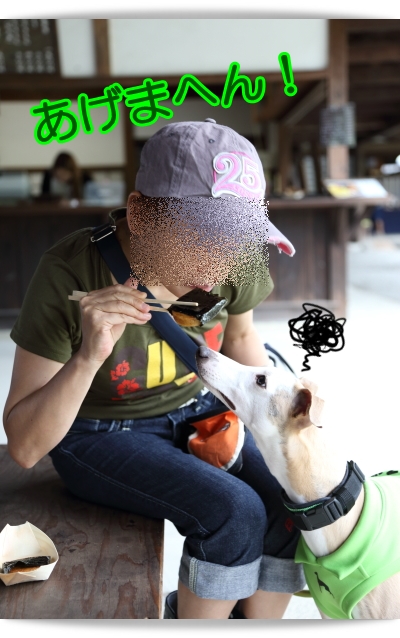 e0100007_8272694.jpg