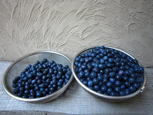 a0141408_1783794.jpg
