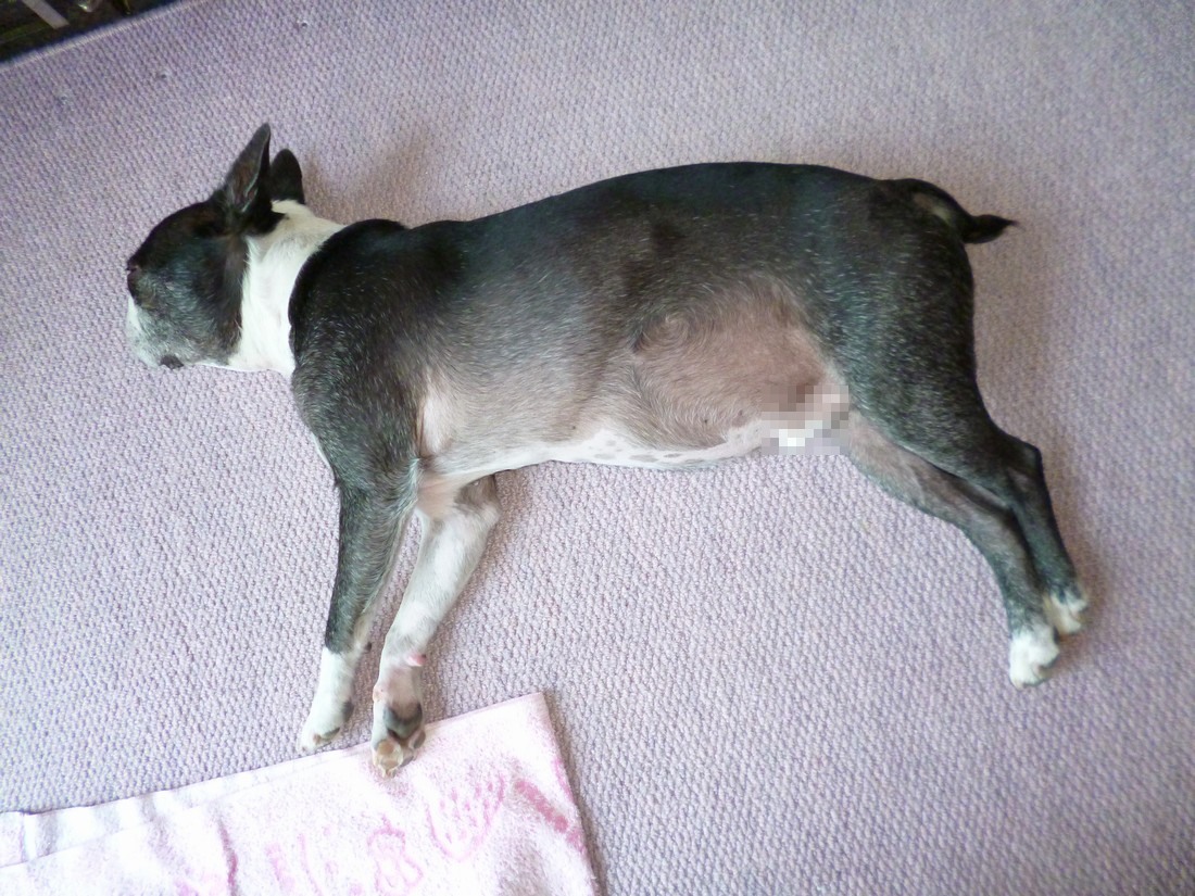 c0280416_1792157.jpg