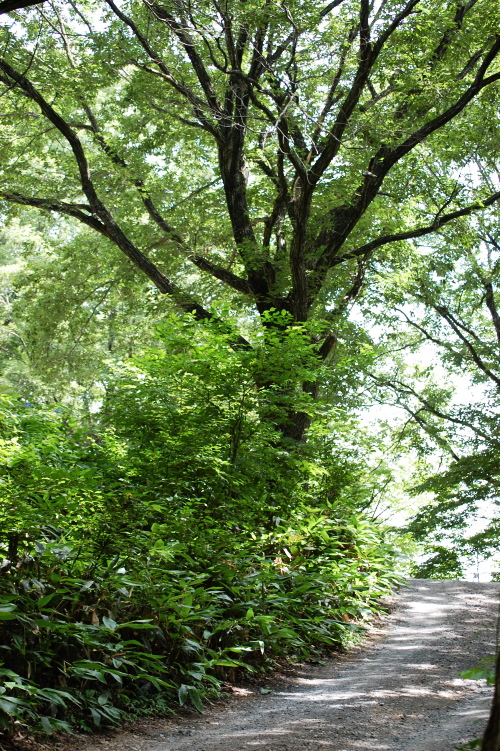 f0248120_8563813.jpg