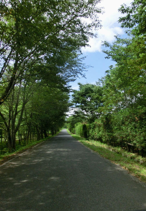f0248120_856737.jpg