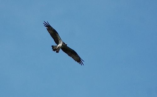 f0248120_8581890.jpg
