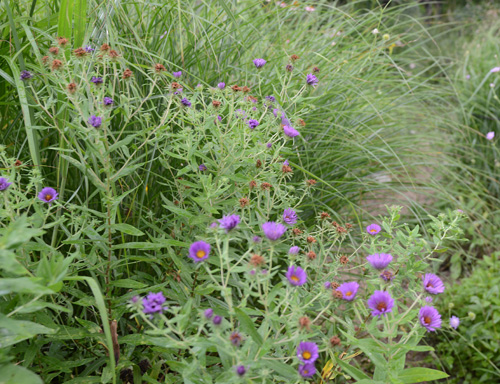 c0107129_259555.jpg