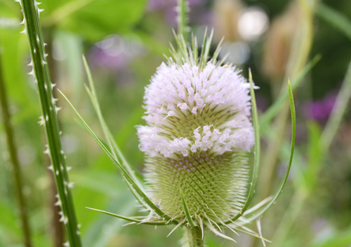 c0107129_305839.jpg