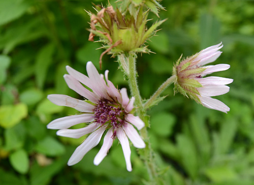 c0107129_32372.jpg