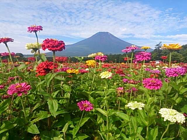 c0201929_20225552.jpg