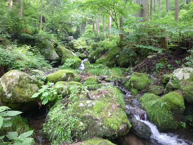 b0298935_2147148.jpg