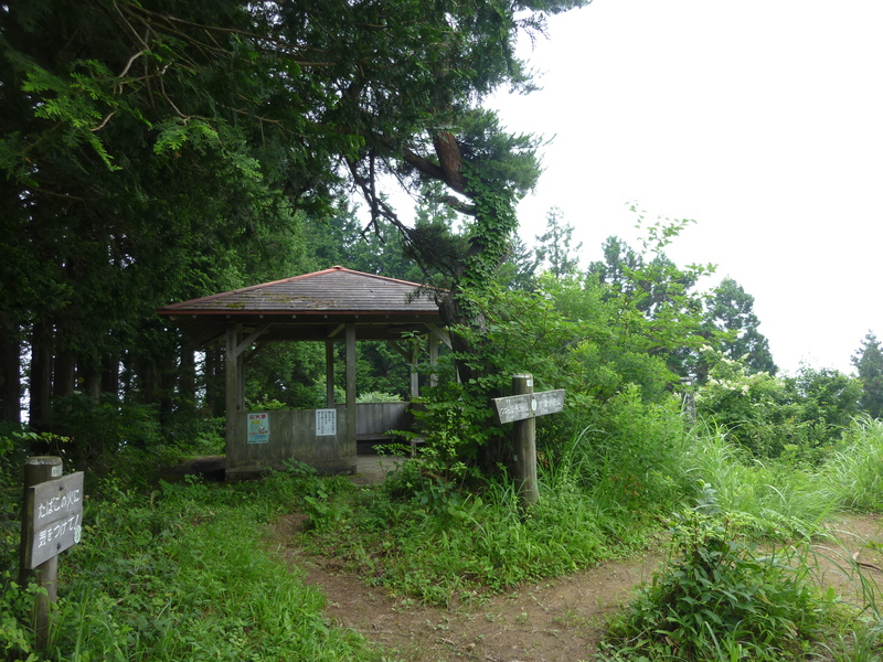 b0298935_222965.jpg