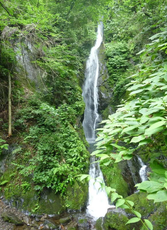 b0298935_228846.jpg
