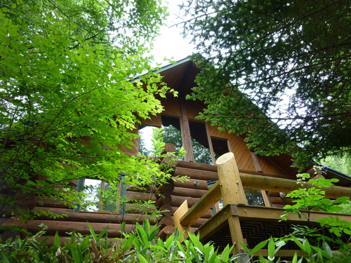 d0170835_10444356.jpg