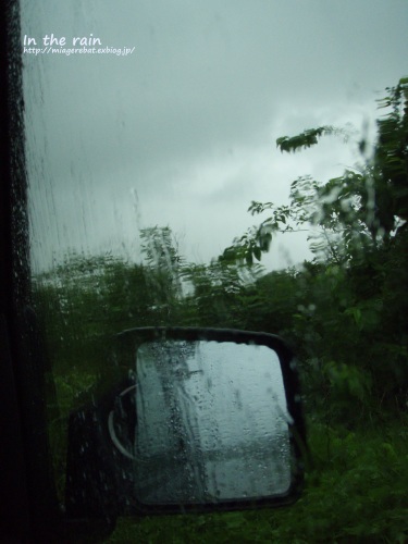 f0335637_10062542.jpg