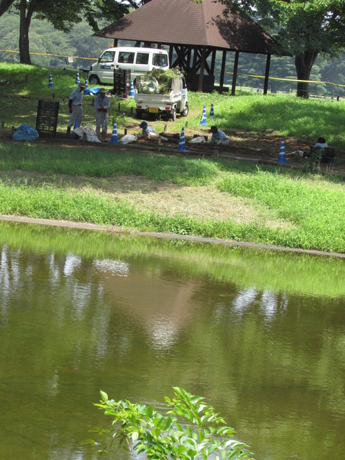 ８月２日　　雷鳴が近づいてきます。_f0117041_541540.jpg