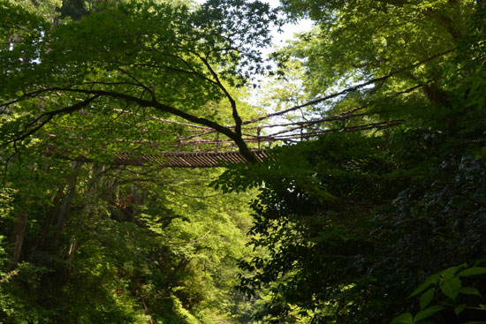 c0093046_8273666.jpg