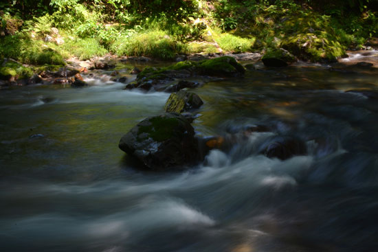 c0093046_8275352.jpg