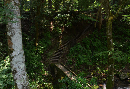 c0093046_8281340.jpg