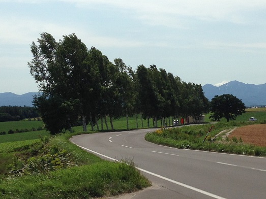 c0261447_23424158.jpg
