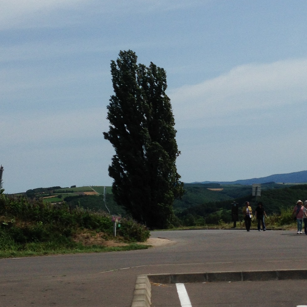 c0261447_2355324.jpg