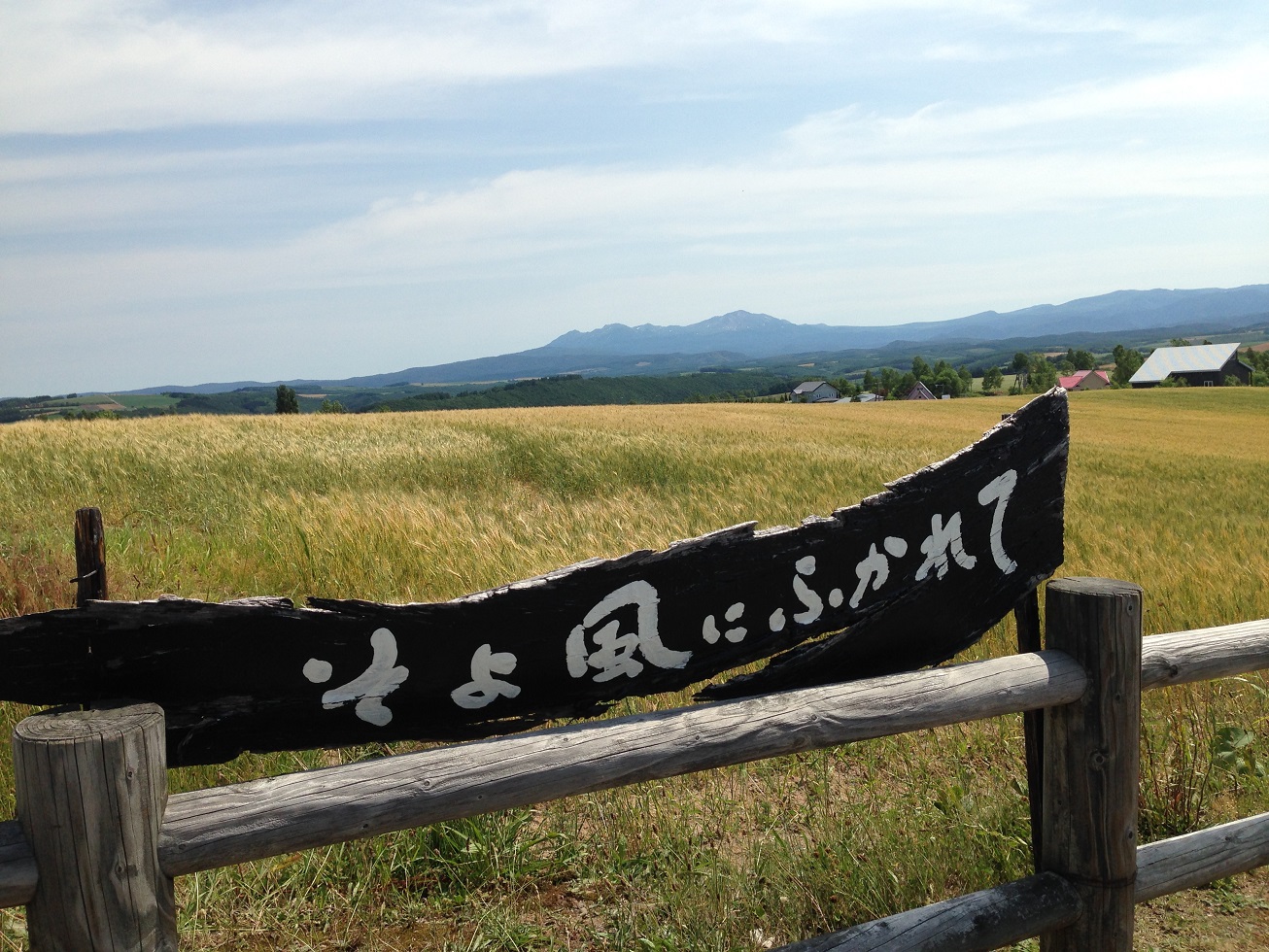 c0261447_2358651.jpg