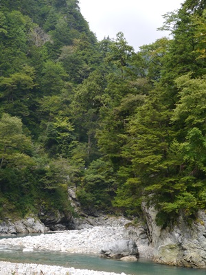 まとめて、お話させてね～　　欅平　（富山）_f0064449_846597.jpg