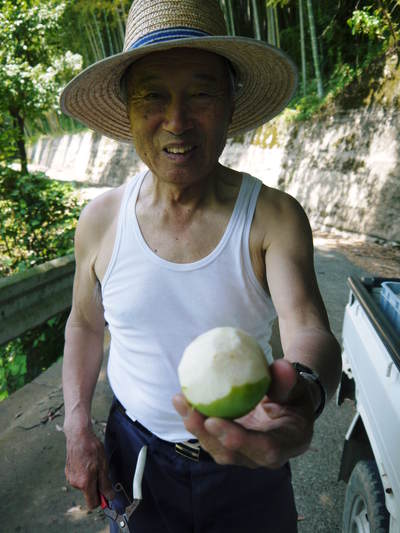 太秋柿 古川果樹園 果実の成長と惜しまぬ手間ひま_a0254656_18113623.jpg