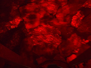 e0010856_757080.jpg