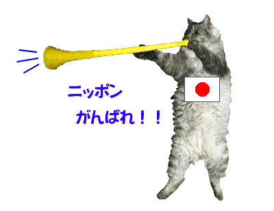 c0119160_1628040.gif