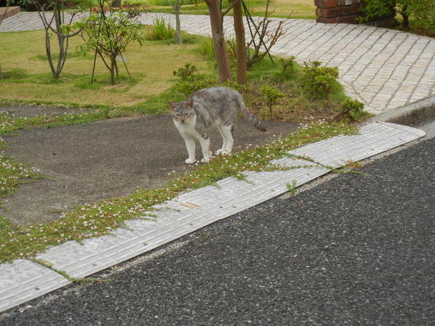 ’14,8,2(土)愛ちゃんあまり元気ないけど~!_f0060461_9443943.jpg