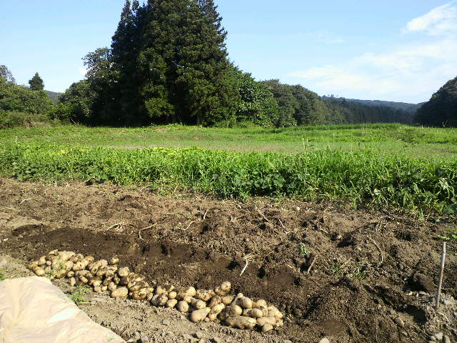 f0208665_16222624.jpg