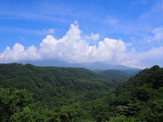 b0194267_1984956.jpg