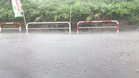 梅の天日干し・・・きゃー!まさかのゲリラ豪雨!_d0182179_2064698.jpg