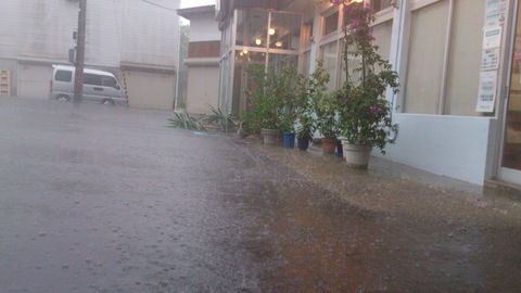 梅の天日干し・・・きゃー!まさかのゲリラ豪雨!_d0182179_207738.jpg