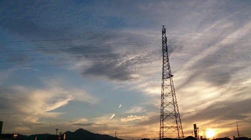 d0320279_81799.jpg