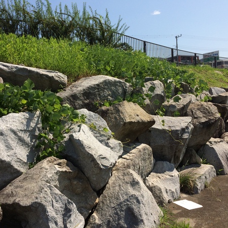 c0139380_202405.jpg
