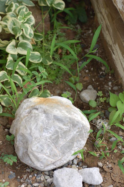c0224982_14365721.jpg